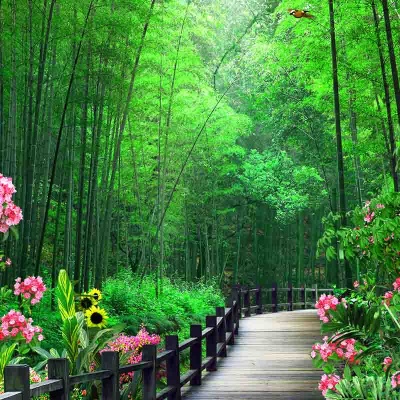 Tranh gạch 3D phong thủy  đứng 34